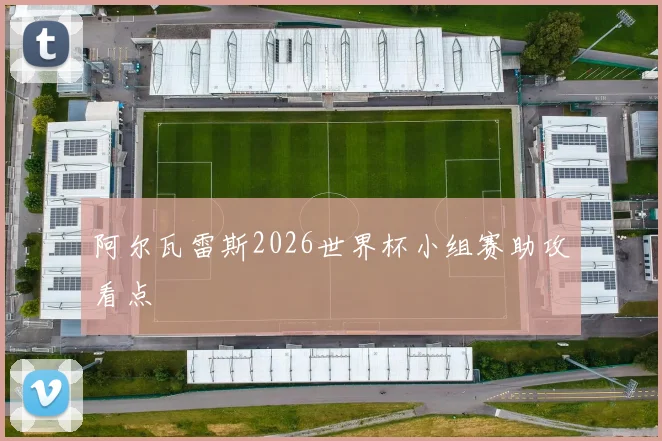 阿尔瓦雷斯2026世界杯小组赛助攻看点