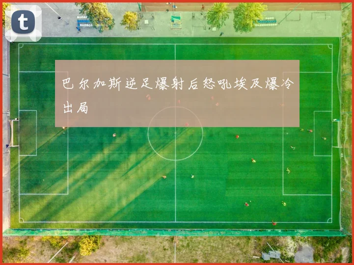巴尔加斯逆足爆射后怒吼埃及爆冷出局