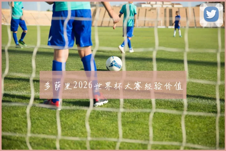 多萨里2026世界杯大赛经验价值