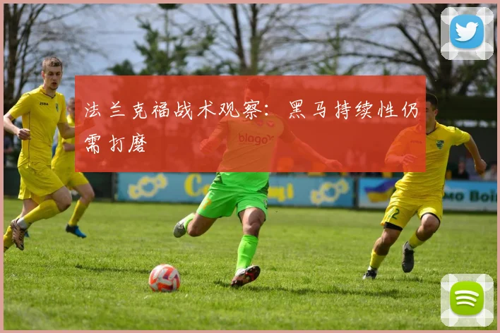 法兰克福战术观察:黑马持续性仍需打磨
